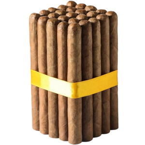 チコ 4¾ x 34 コネチカット - 25枚セット