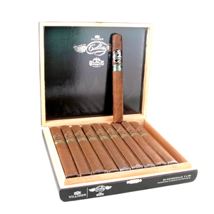 Villiger Cuellar Forest-Churchill