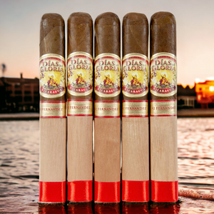 AJ Fernandez Dias de Gloria Toro 6" * 56 BP-Sampler of 5