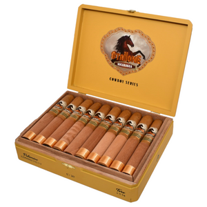 Stallone Palomino Toro 6x54