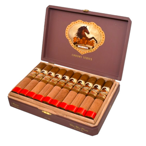 スタローン アラザン コロホ トロ BP 5.5x56