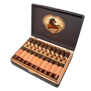 Stallone Castano Gordo 6x60