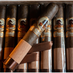 Stallone Castano Gordo 6x60