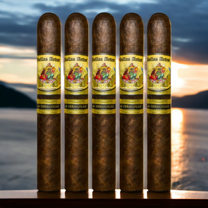AJ Fernandez Bellas Artes Maduro Toro 6" * 54-Sampler of 5
