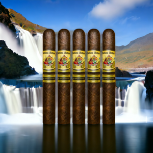 AJ フェルナンデス ベラス アルテス マドゥロ ロブスト 5"1/2 * 52 - サンプラー 5