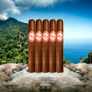 AJ Fernandez Last Call Habano Pequenas 5" *46-Sampler of 5