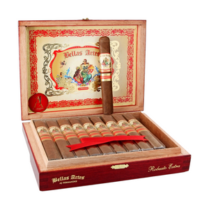 AJ Fernandez Bellas Artes Robusto 5"1/2 * 52