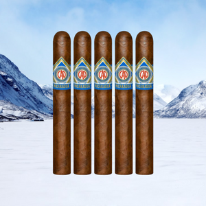 CAO Nicaragua Granada 6" * 50-Sampler of 5