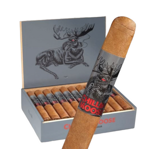 チリンムース ロブスト 5" * 50