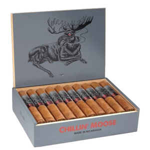 チリンムース ロブスト 5" * 50