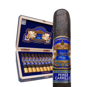 EP カリロ プレッジ ソージャーン 6インチ * 52