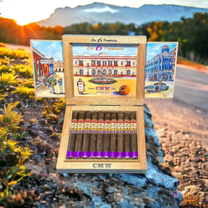 エスピノーサ ラス 6 プロビンシアス CMW トロ 6x50