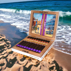 エスピノーサ ラス 6 プロビンシアス CMW トロ 6x50