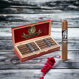 マン・オ・ウォー・ダムネーション・ロブスト 5×50