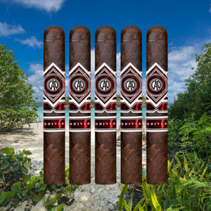 CAO Maduro Robusto 5 x 50 - サンプラー 5
