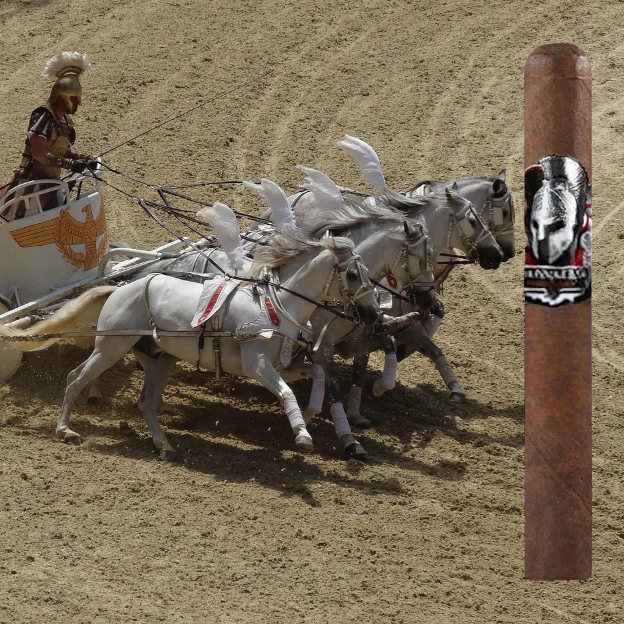 Man O' War Damnation Toro 6 x 52 - Tabacalera Aragon