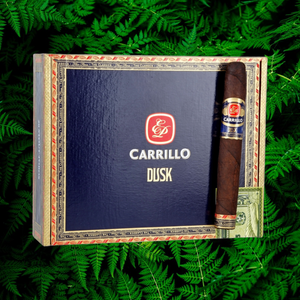 EP カリージョ ダスク スタウト トロ 6インチ * 52