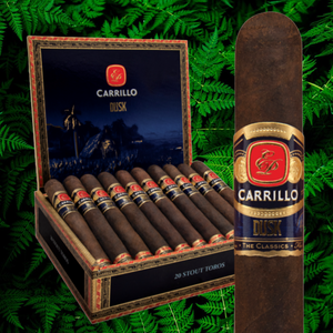 EP カリージョ ダスク スタウト トロ 6インチ * 52