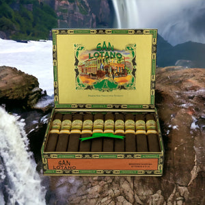 サン ロターノ レクイエム マドゥロ トロ 6 x 52