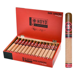 Hoyo La Amistad ダーク スマトラ ノーチェ 6"1/2 * 52