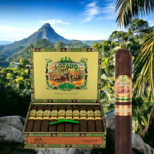 サン ロターノ レクイエム マドゥロ トロ 6 x 52